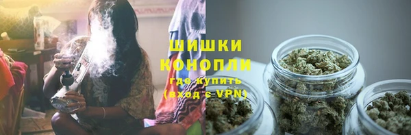 гашик Алексеевка