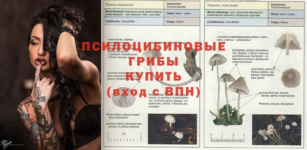 Альфа ПВП Михайловск