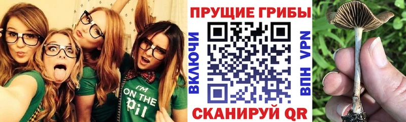Галлюциногенные грибы ЛСД  где продают   Находка 